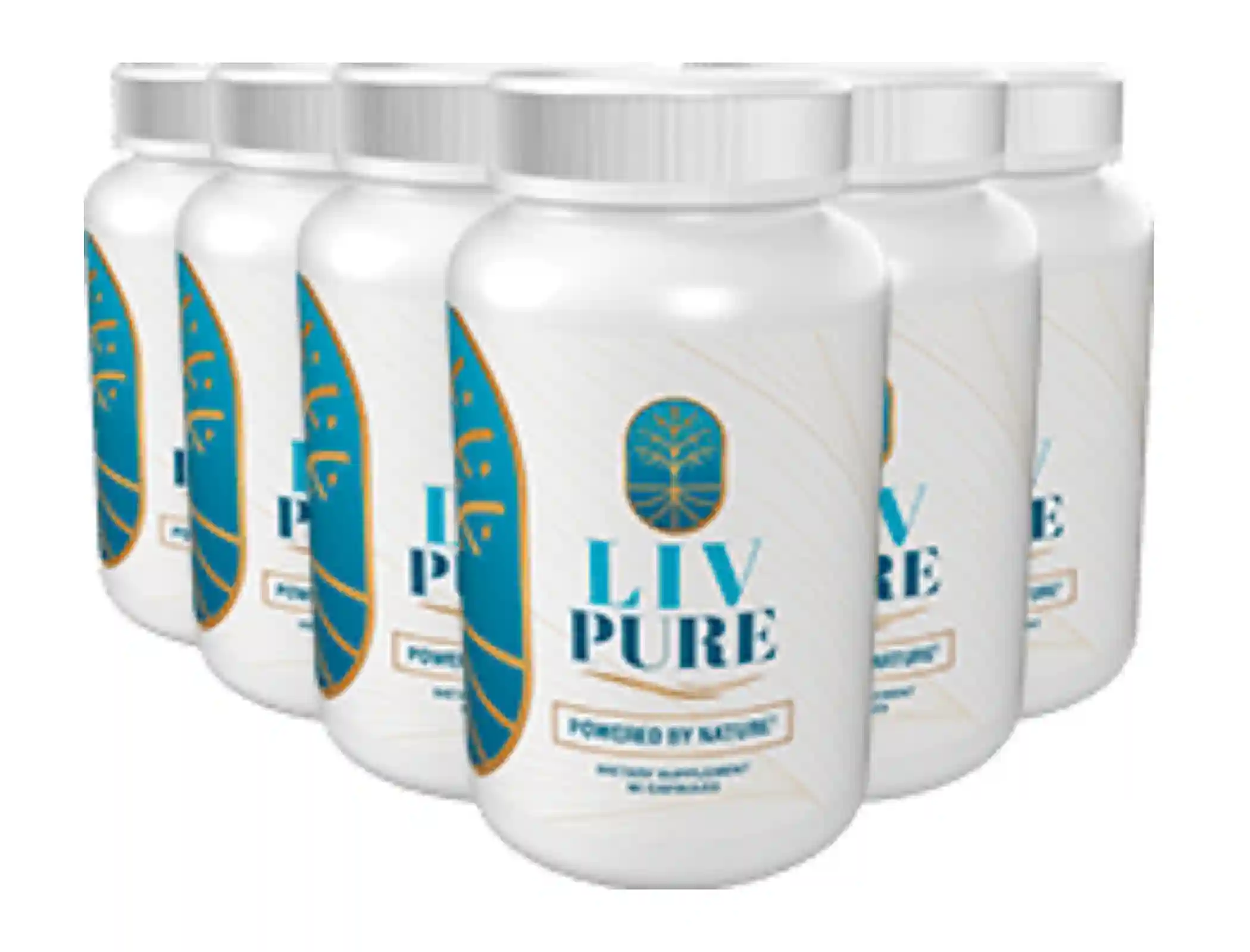 Liv Pure 6 bottle best value package with 60 day guarantee